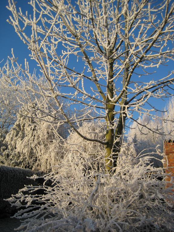 B&B Het Uilennest Bocholt Dış mekan fotoğraf