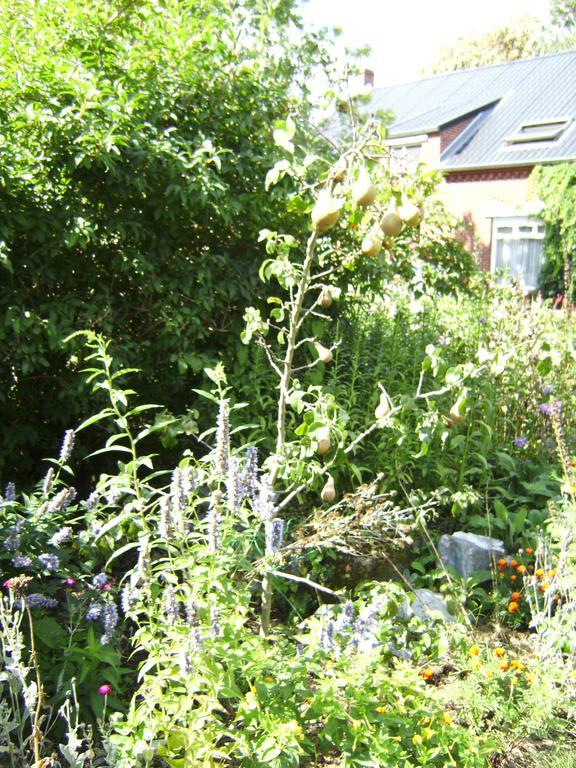 B&B Het Uilennest Bocholt Dış mekan fotoğraf
