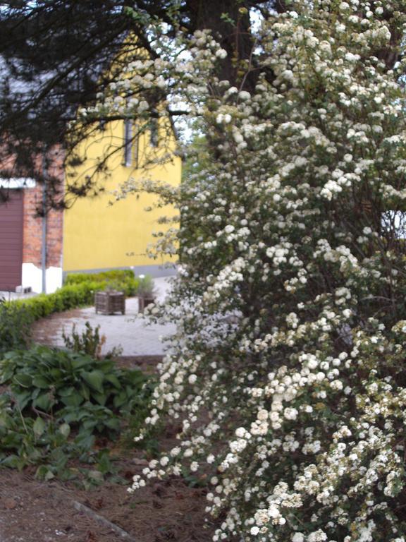 B&B Het Uilennest Bocholt Dış mekan fotoğraf